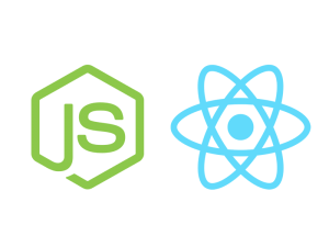 Custom web application development